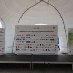 Palco Premiazioni